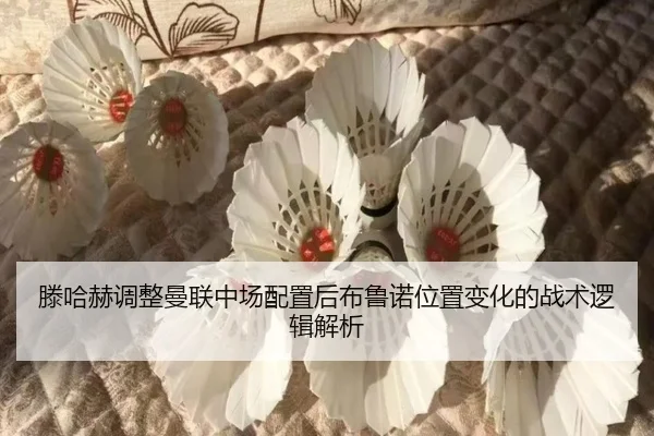 滕哈赫调整曼联中场配置后布鲁诺位置变化的战术逻辑解析