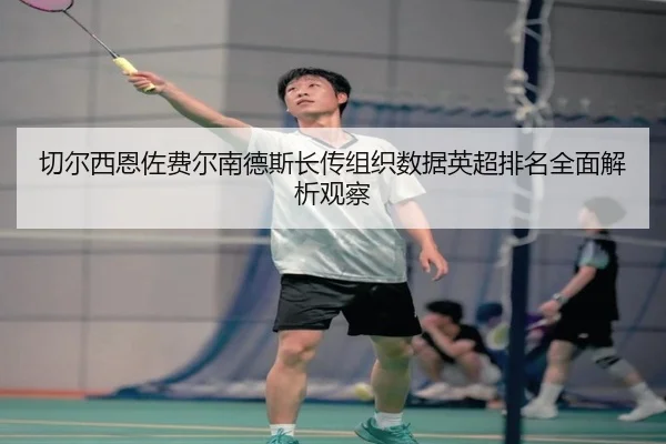 切尔西恩佐费尔南德斯长传组织数据英超排名全面解析观察